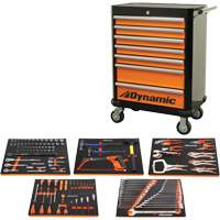 Auto Mechanic Set with Rolling Cabinet Mukwa Safety Services
