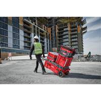 Coffre &agrave; outils roulant Packout, 15-4/5" x 34" x 28", Rouge Mukwa Safety Services