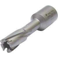 Core Cut Annular Cutter with Weldon Shank, 12 mm Diameter, Carbide, 30 mm Depth of Cut, 3/4" Shank Mukwa Safety Services