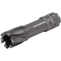 Universal Shank Annular Cutter, 1/2" Diameter, Carbide, 1" Depth of Cut, 3/4" Shank Mukwa Safety Services