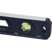 High-Accuracy Level, Box, 2' L, Aluminum, 3, Non-Magnetic Mukwa Safety Services