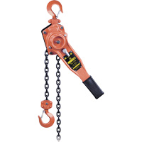 KLP-75-10 KLP Series Heavy-Duty Lever Chain Hoist, 10' Lift, 1500 lbs. (0.75 tons) Capacity Mukwa Safety Services
