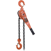 KLP-300L-5 KLP Series Heavy-Duty Lever Chain Hoist with Overload Protection, 5' Lift, 6000 lbs. (3 tons) Capacity Mukwa Safety Services