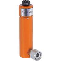 Hydraulic Rams, 3" Stroke, 2 Ton(s) Capacity Mukwa Safety Services