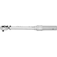 JITW-14250 Cl&eacute;s dynamom&eacute;triques industrielles, &agrave; cliquer, Entraînement 1/4" carr&eacute;, 50 - 250 lb-po Mukwa Safety Services