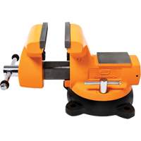 Mechanic's Bench Vise with Anvil, 6" Jaw Width Mukwa Safety Services