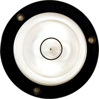 Bull's-Eye Level Mukwa Safety Services