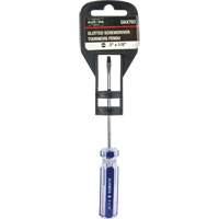 Tournevis &agrave; fente bleu transparent avec bandes , Tige de 1/8", Ronde, Prise en Plastique Mukwa Safety Services