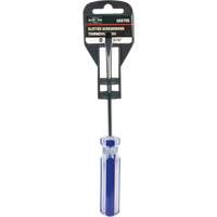 Tournevis &agrave; fente bleu transparent avec bandes, Tige de 3/16", Ronde, Prise en Plastique Mukwa Safety Services