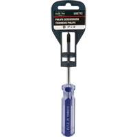 Blue Transparent Striped Philips Screwdriver, #1, Plastic Handle Mukwa Safety Services