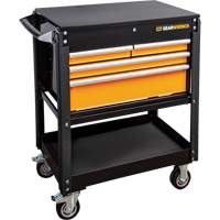 MEGAMOD Master Mechanics Tool Set in Premium Modular Foam Trays with Tool Storage, 1268 Pieces Mukwa Safety Services