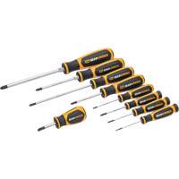 Phillips&reg; Dual Material Screwdriver Set in Foam Storage Tray, 9 Pcs. Mukwa Safety Services