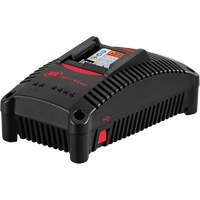 Chargeur de batterie IQV40, 40 V, Lithium-ion Mukwa Safety Services