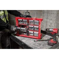 PACKOUT Tilt Bin Organizer, 15-1/5" x 19-7/10" x 6-7/10", Black/Red Mukwa Safety Services