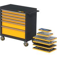 MEGAMOD Metric Mechanics Tool Set in Modular Foam Trays with Rolling Cabinet, 358 Pieces Mukwa Safety Services