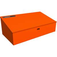 RAILWORKS Top Shelf Lockable Angled Workstation Mukwa Safety Services