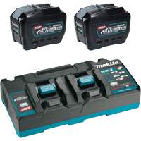 Ensemble de d&eacute;part XGT avec chargeur rapide &agrave; deux ports et deux batteries de 8?Ah, 40 V, Lithium-ion Mukwa Safety Services