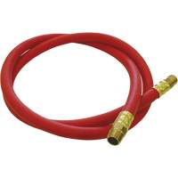 Tuyau de raccordement pour d&eacute;vidoir de tuyau, Air, Caoutchouc EDPM, 1/2" dia. x 5', 300 psi, 1/2 NPT Mukwa Safety Services