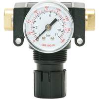 D&eacute;tendeur &agrave; piston en ac&eacute;tal MODULAIR 200, 1/4" NPT, PSI max. de 150 psi, Canalisation/Modulaire Mukwa Safety Services