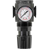 D&eacute;tendeur &agrave; diaphragme en zinc MODULAIR 300, 3/8" NPT, PSI max. de 300 psi, Canalisation/Modulaire Mukwa Safety Services