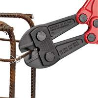 Large Bolt Cutters, 30" L, Center Cut Mukwa Safety Services