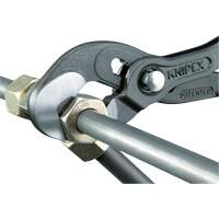 Pince Raptor, 10" Mukwa Safety Services