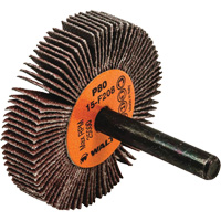 Flap Wheels-Coolcut Flap Wheels, Aluminum Oxide, 80 Grit, 2" x 3/8" x 1/4" Mukwa Safety Services