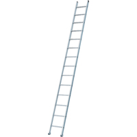 Industrial Heavy-Duty Extension/Straight Ladders, 8', Aluminum, 300 lbs., CSA Grade 1A Mukwa Safety Services