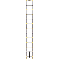 Telescopic Ladder, 3' - 12', Aluminum, 250 lbs. Capacity, Type 1 Mukwa Safety Services