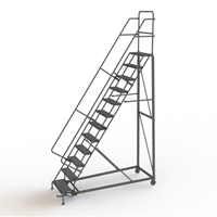 Heavy Duty Rolling Ladder, 12 Steps, 24" Step Width, 120" Platform Height, Steel Mukwa Safety Services