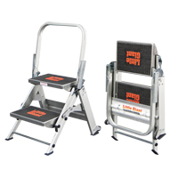Safety Stepladder, 1.5', Aluminum, 300 lbs. Capacity, Type 1A Mukwa Safety Services