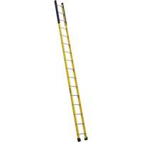 Single Manhole Ladder, 16', Fibreglass, 375 lbs., CSA Grade 1AA Mukwa Safety Services