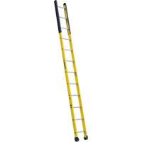 Single Manhole Ladder, 12', Fibreglass, 375 lbs., CSA Grade 1AA Mukwa Safety Services