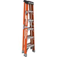 Step Ladder, 6', Fibreglass, 375 lbs. Capacity, Type 1AA Mukwa Safety Services