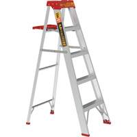 Step Ladder with Paint Tray, 5', Aluminum, 200 lbs. Capacity, Type 3 Mukwa Safety Services