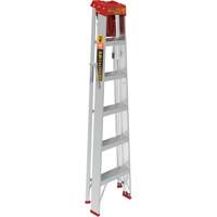 Step Ladder with Paint Tray, 6', Aluminum, 200 lbs. Capacity, Type 3 Mukwa Safety Services