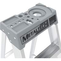 Step Ladder with Paint Tray, 10', Aluminum, 225 lbs. Capacity, Type 2 Mukwa Safety Services