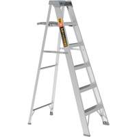 Step Ladder with Paint Tray, 6', Aluminum, 225 lbs. Capacity, Type 2 Mukwa Safety Services