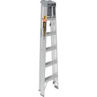 Step Ladder with Paint Tray, 6', Aluminum, 225 lbs. Capacity, Type 2 Mukwa Safety Services