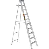 Step Ladder with Paint Tray, 10', Aluminum, 225 lbs. Capacity, Type 2 Mukwa Safety Services