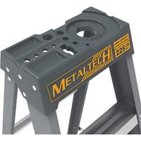 Step Ladder with Paint Tray, 6', Fibreglass, 225 lbs. Capacity, Type 2 Mukwa Safety Services