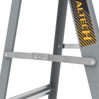 Step Ladder with Paint Tray, 6', Fibreglass, 225 lbs. Capacity, Type 2 Mukwa Safety Services
