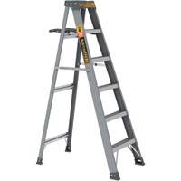 Step Ladder with Paint Tray, 6', Fibreglass, 225 lbs. Capacity, Type 2 Mukwa Safety Services