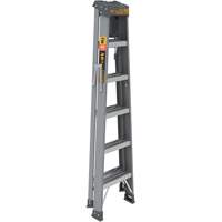 Step Ladder with Paint Tray, 6', Fibreglass, 225 lbs. Capacity, Type 2 Mukwa Safety Services