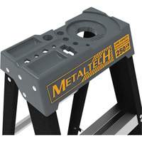 Step Ladder with Paint Tray, 10', Fibreglass, 250 lbs. Capacity, Type 1 Mukwa Safety Services