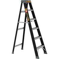 Step Ladder, 6', Fibreglass, 250 lbs. Capacity, Type 1 Mukwa Safety Services