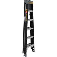 Step Ladder with Paint Tray, 6', Fibreglass, 250 lbs. Capacity, Type 1 Mukwa Safety Services