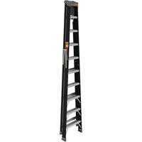 Step Ladder with Paint Tray, 10', Fibreglass, 250 lbs. Capacity, Type 1 Mukwa Safety Services