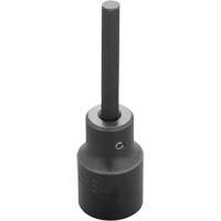 Socket Bit, Hex, 6 mm x 3-1/4" L, 1/2" Drive Mukwa Safety Services