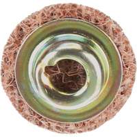 Standard Abrasives Quick-Change Surface Conditioning Disc, 3/4" Dia., Coarse Grit, Aluminum Oxide Mukwa Safety Services